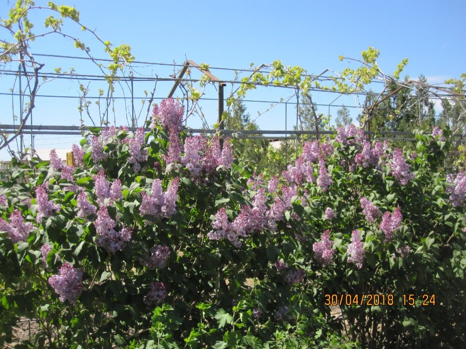 Производственная база.