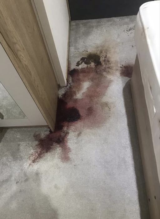 Servicii de curățenie in Constanta!