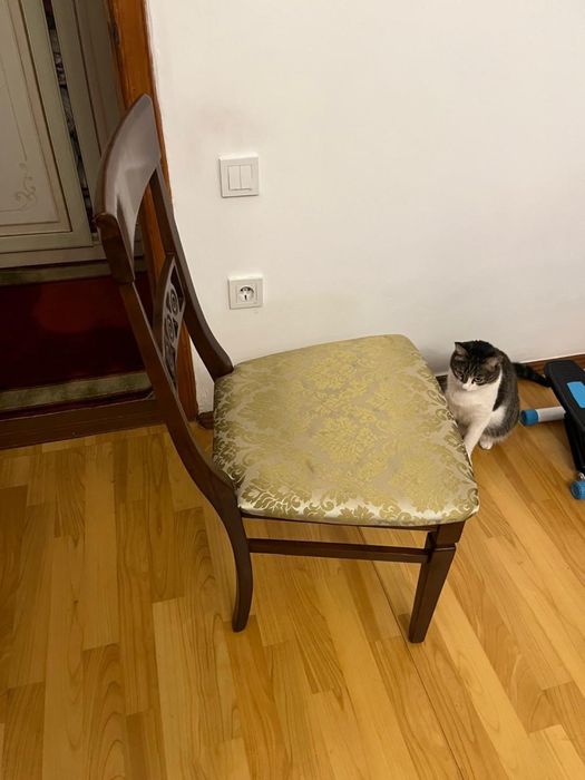 Продам стулья из массива дерева