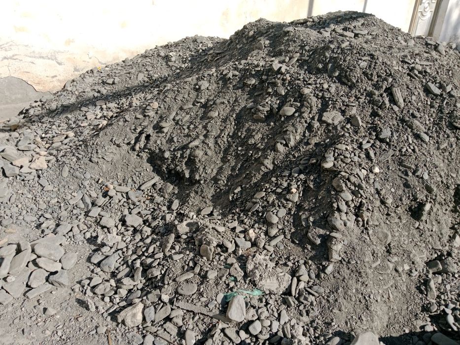 Дарё Шағали сотилади