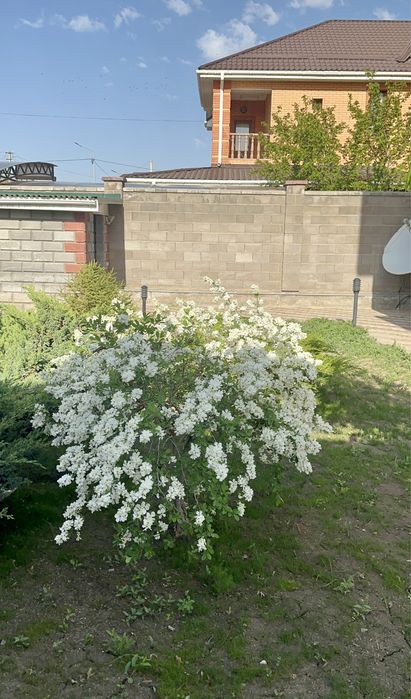 Отличный дом в 18 микрорайоне