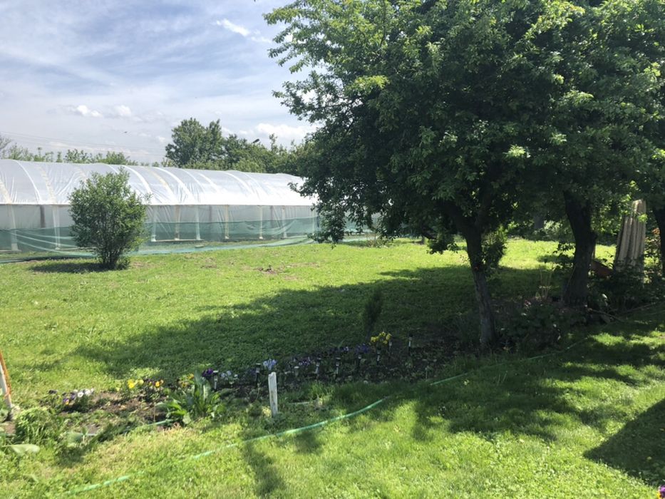 Продава се Промишлена сграда в с. Хаджиево, Област Пазарджик - 3720 кв.м за 54 €/кв.м - Снимка #1