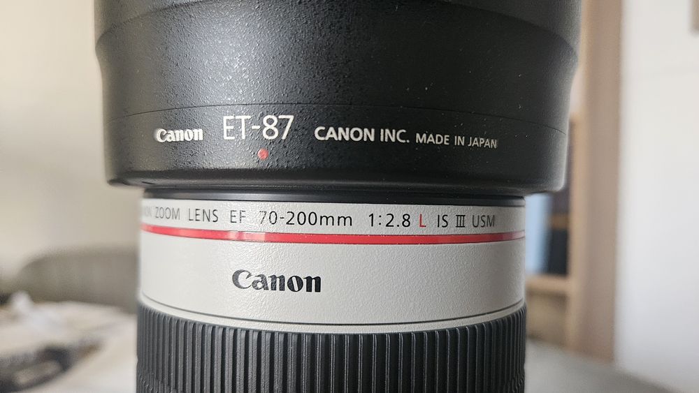 Canon 70-200 IS III, Canon 24-105, Sigma 70-200, Sigma 105