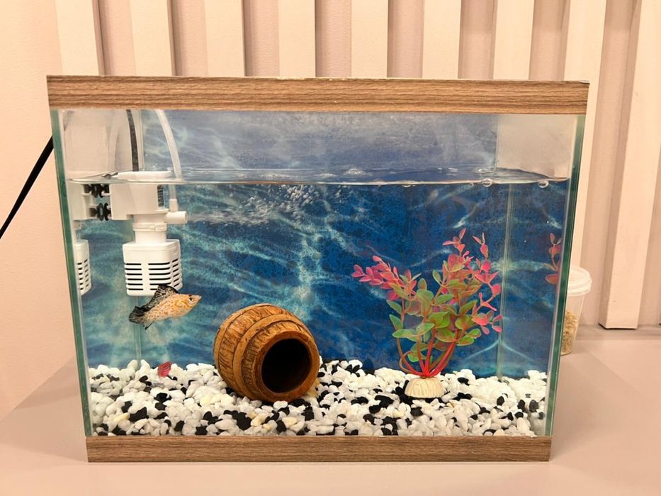 Продам Аквариум