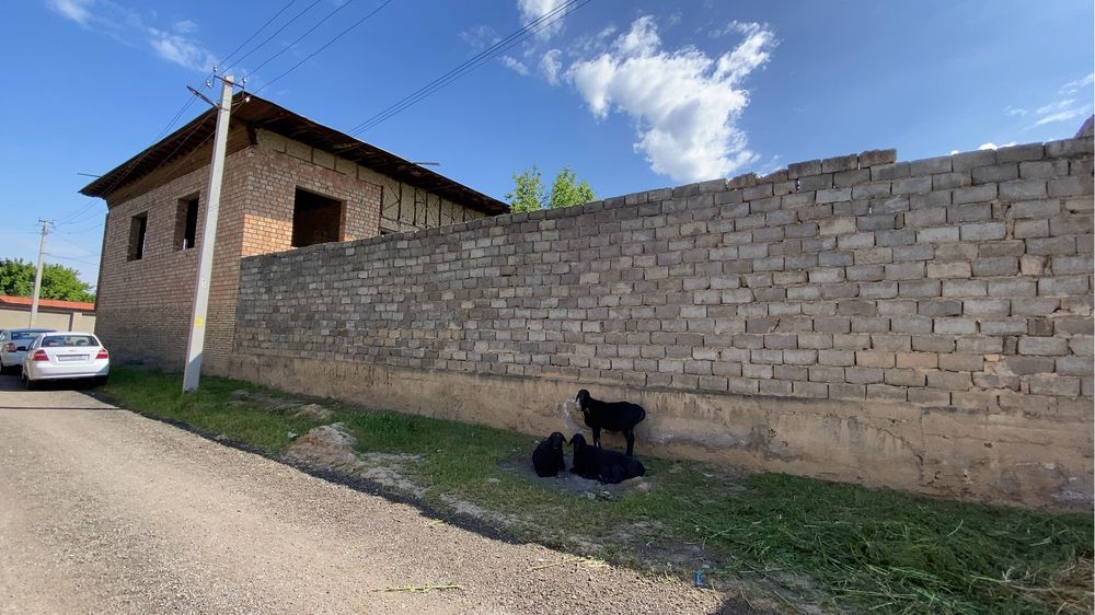 Участка 11 сотик ва катта подволихам бор назарбек тарнов