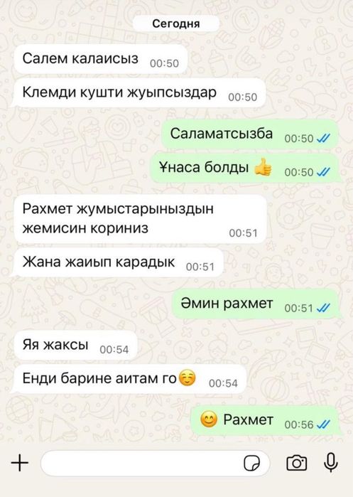 килем жуу орталыгы Раяна