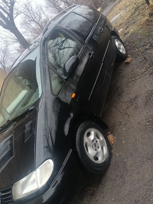 Продам Шаран срочно