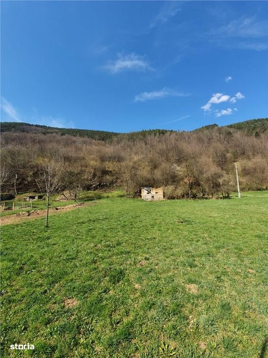 RECO Teren intravilan zona Bulz