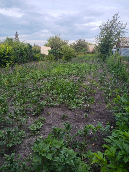 Продам  участок .