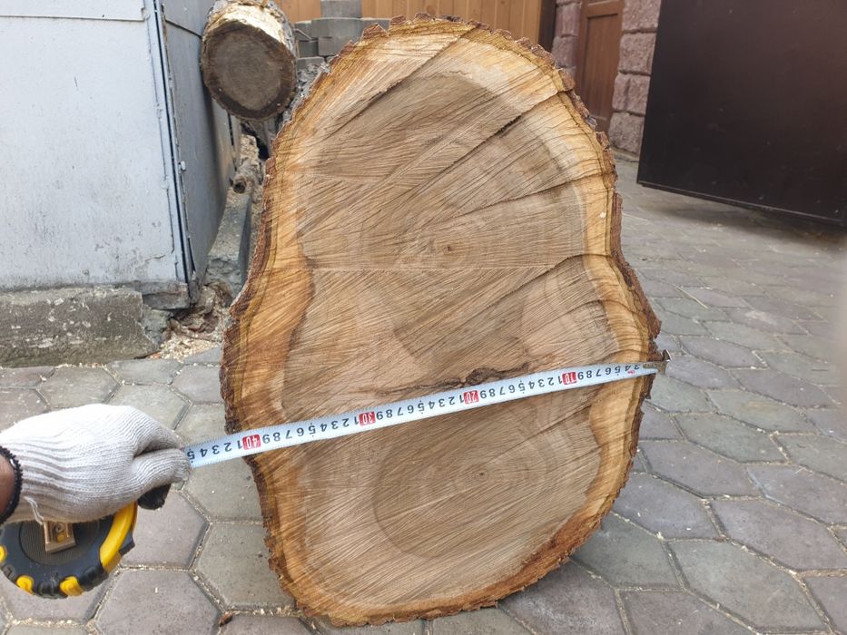 Массив ореха, ствол