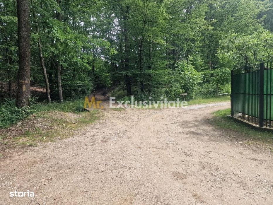 Teren extravilan Pitesti - str. Balotesi!!