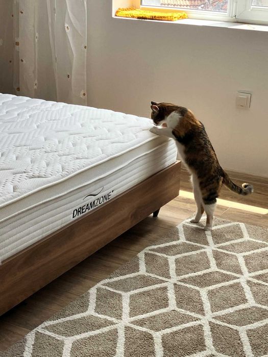 Пране на автомобили и мека мебел