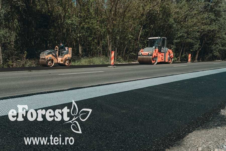 Teren premium in cartier nou eForest, comision 0, langa padure