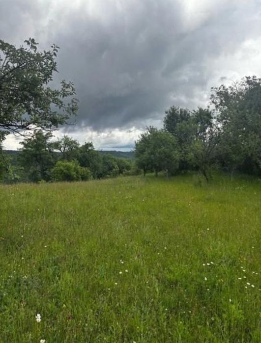 Teren de Vânzare 15000m2