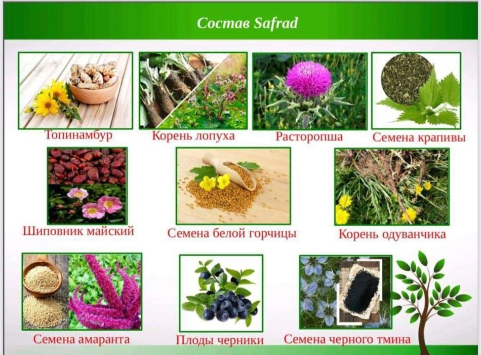 BIOTONIC  SAFRAD для здоровья