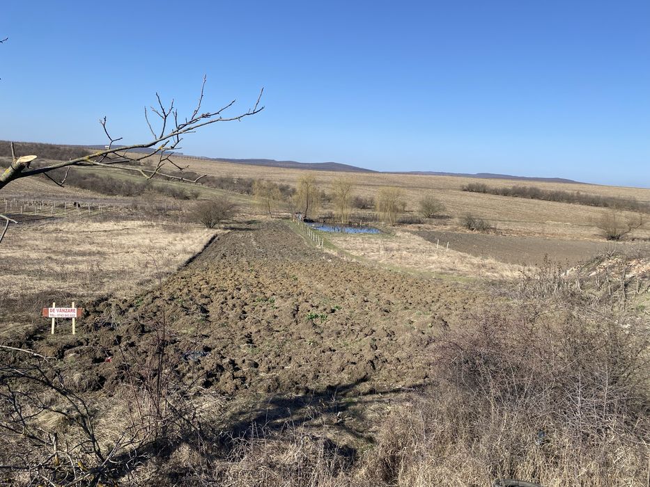 De vanzare 2000 mp intravilan