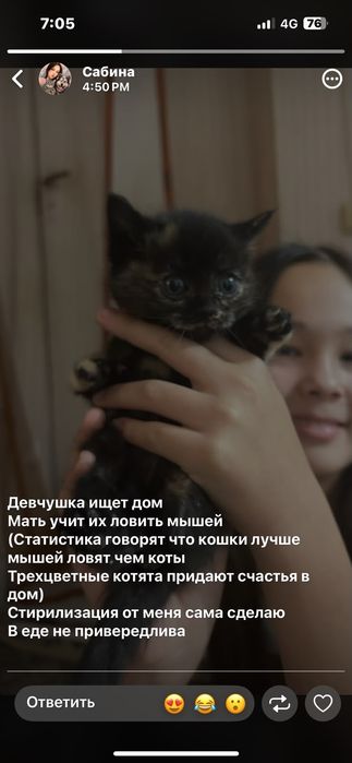 Отдам котят в добрые руки