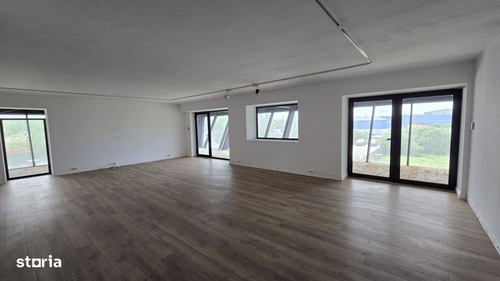 Spatiu comercial de inchiriat Podul Constanta - Chitila - Bucurestii N - Vedere 4