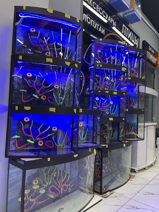 Akvarium New avalniy 20Litr