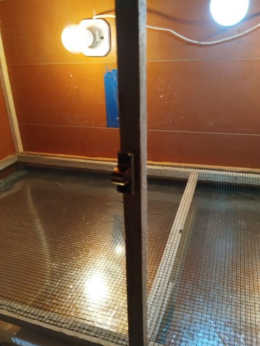 Брудер  жужаларга