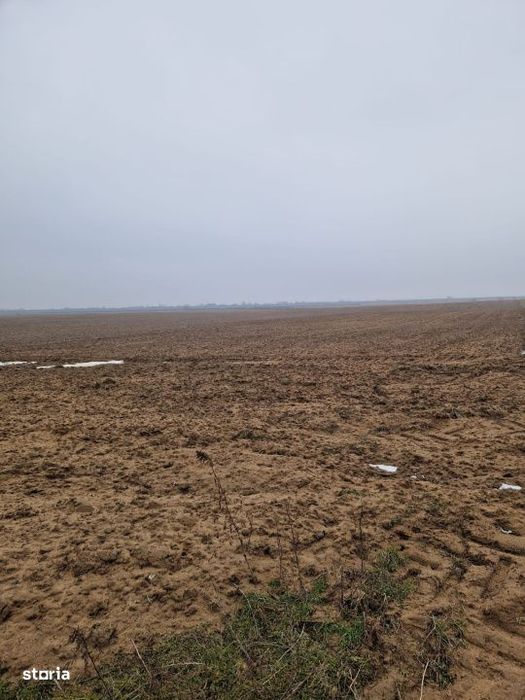 Teren de vanzare 2.500 mp – Malu Mare