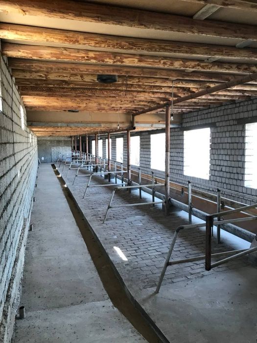 Уй Сотилади! Молхонаси билан!