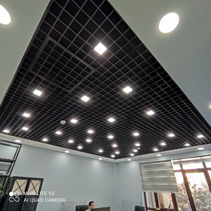 Грильято и армстронг (4)