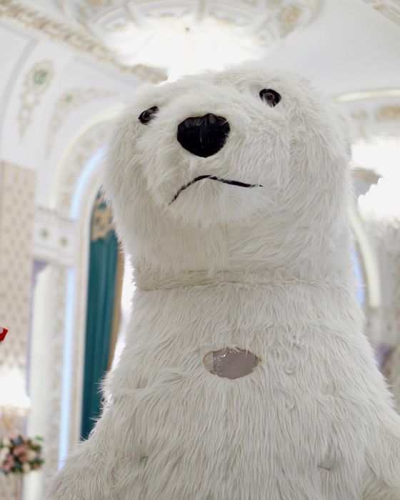 Мишки Тедди аниматоры