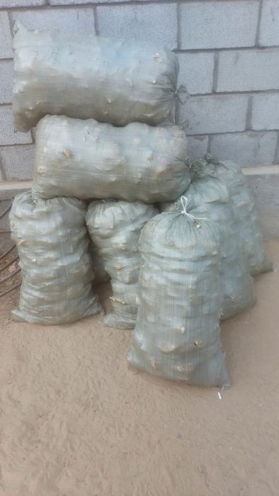 Малға кепкен нан