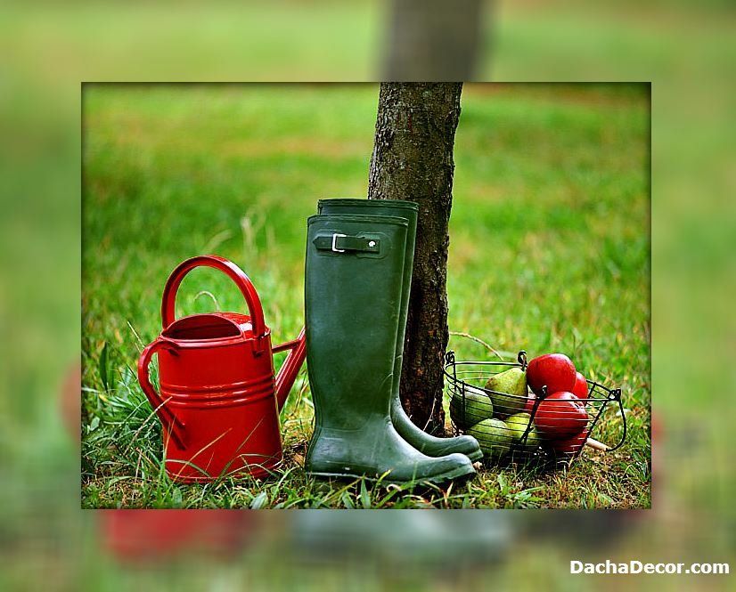 Удобрение для огорода