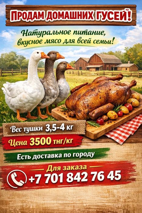 Продам домашних гусей