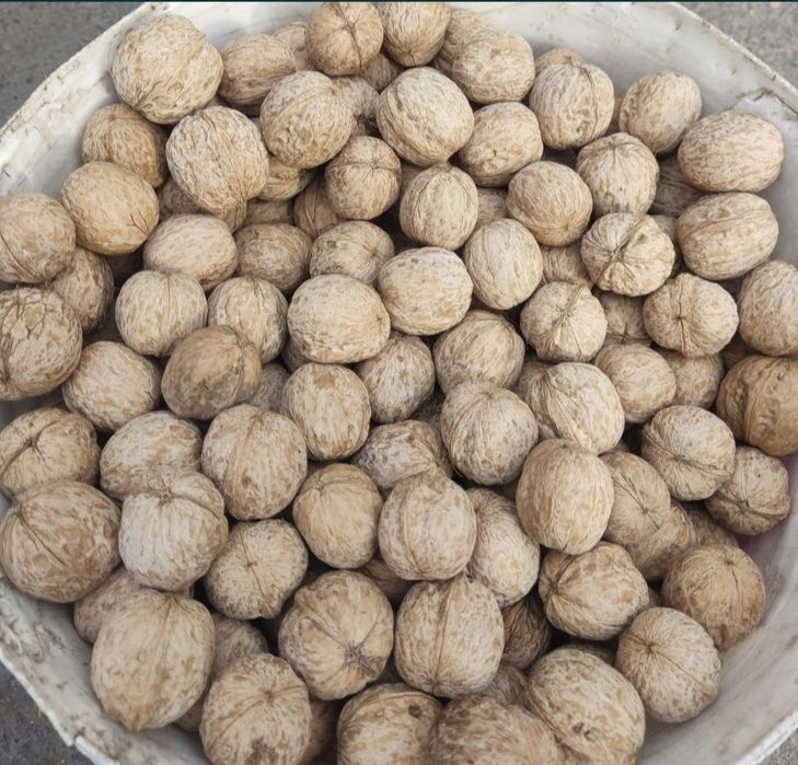 Греческий орех  свежий