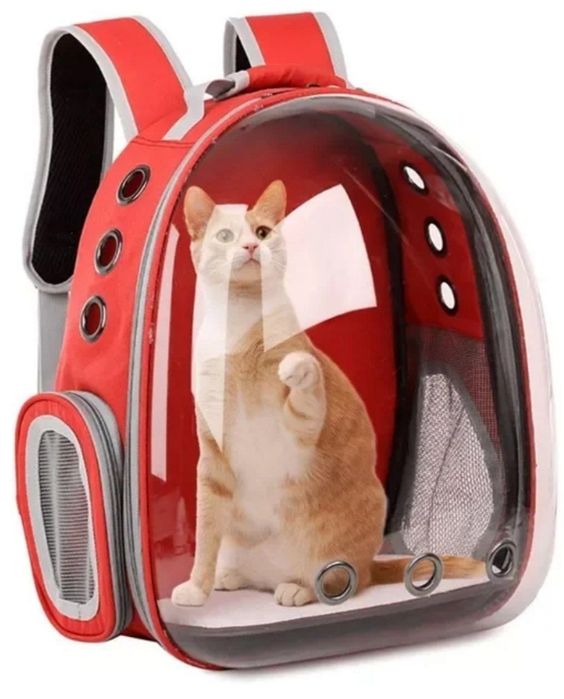 Рюкзак переноска для Вас и Вашего любимцаца