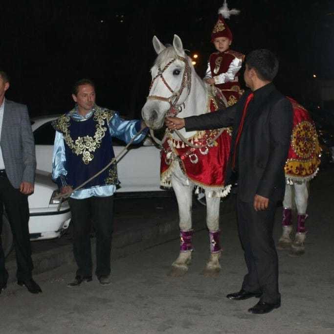 конь, пони, трон