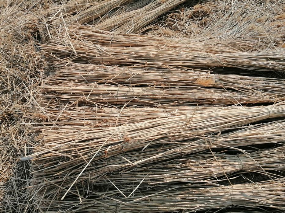 Maldari și snopi de stuf