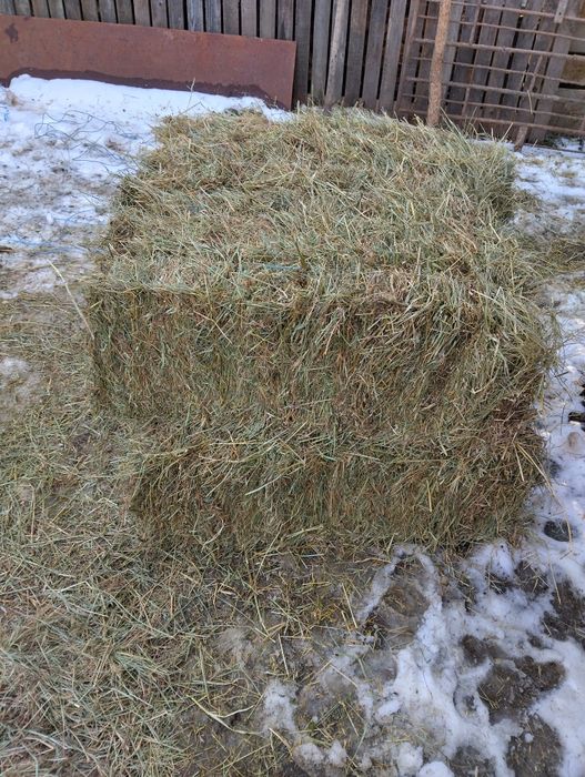 Baloți de fân (iarbă)