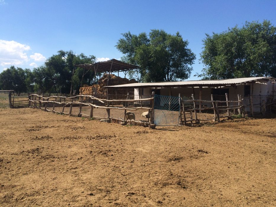 Продам участок,под ЛПХ,КХ