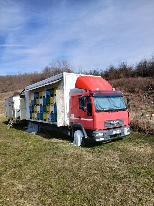 Vand pavilion / camion apicol
