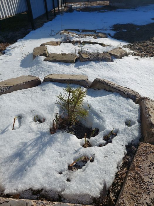 Продам Участок 16 соток