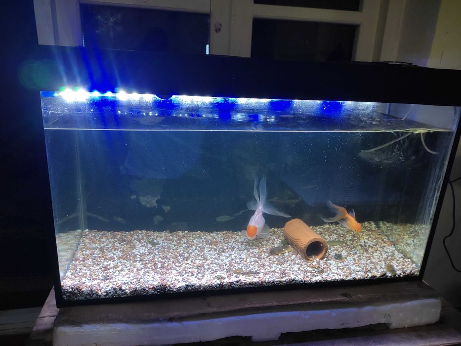 Аквариум 100л сотилади