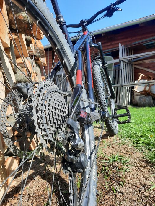 Nukeproof Scout 290 Race