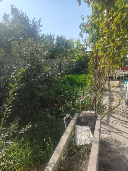 Далаховли сотилади