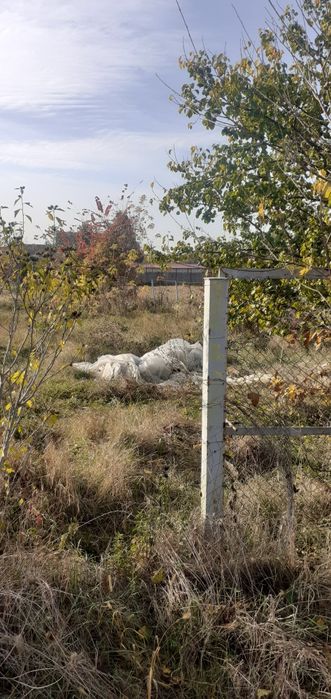 Teren de vanzare 3200 mp in Oarda de Jos str Pepinierei