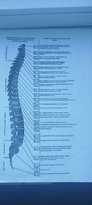 Массажная кушетка Цероген