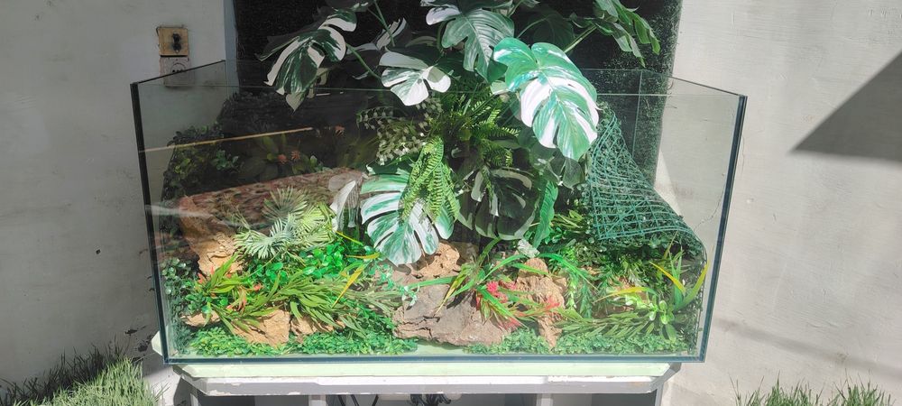 Арзон аквариумла.