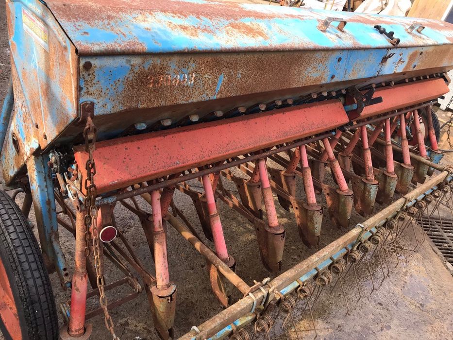 Saxonia Paioase 3 Metri