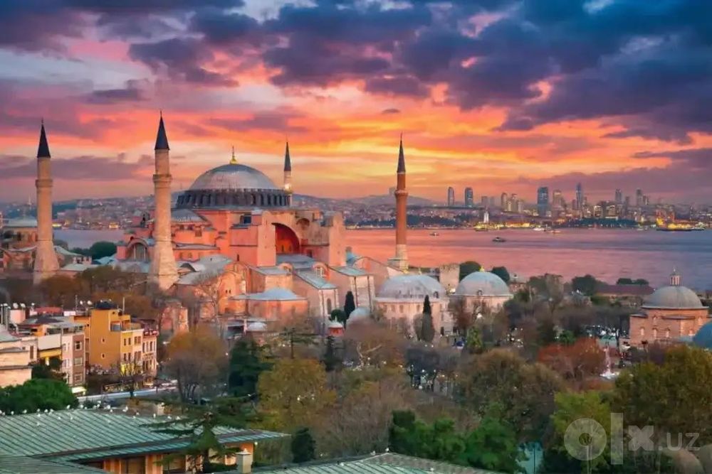 Istanbul Sayohati: Mehmonxona, Gid va Transfer xizmatlari