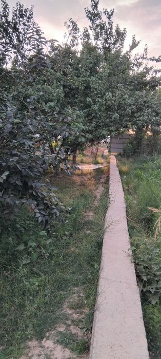 Tashmorydan otishiyz bn 500m  dan kein yol yuzida 8 sotix 4000$ sotigi