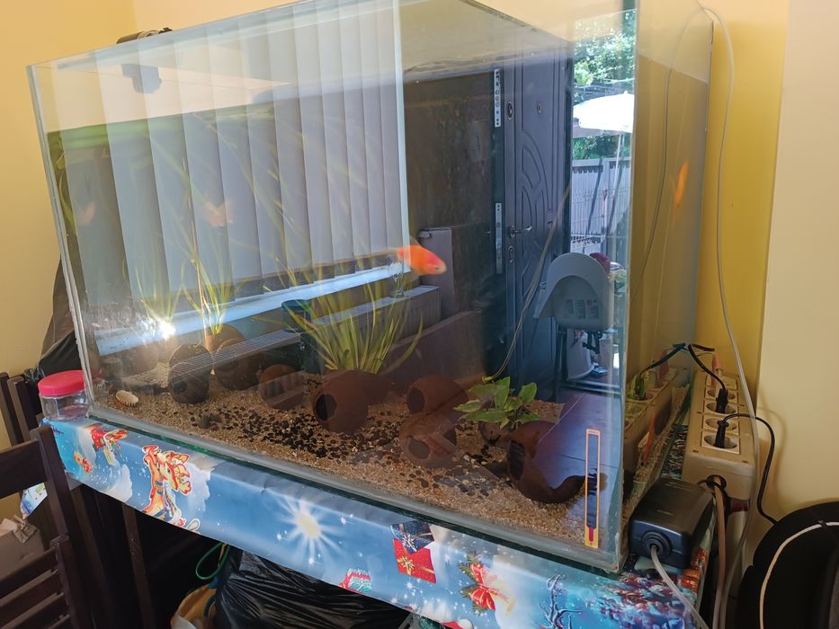 Acvariu pești 270 L