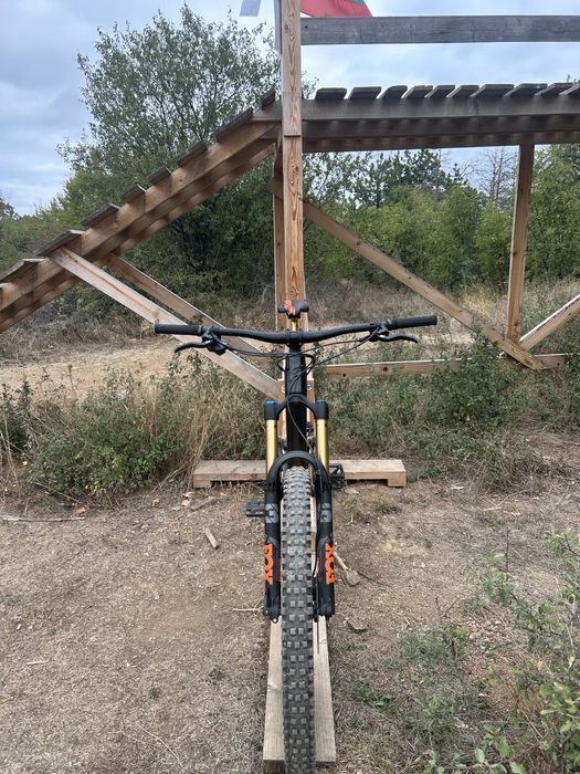 Propain Tyee CF L 29 2023